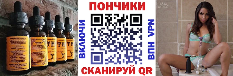 Cannafood конопля  Купить закладки  Холм 