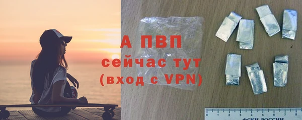 стаф Михайлов