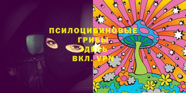 стаф Михайлов